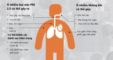 Tác động ô nhiễm không khí tới sức khỏe con người - Nguyên nhân và giải pháp